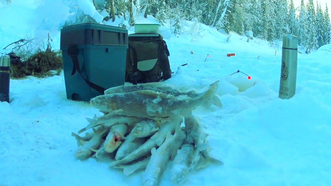 Рыбалка в мороз -29.ловля хариуса в суровый мороз