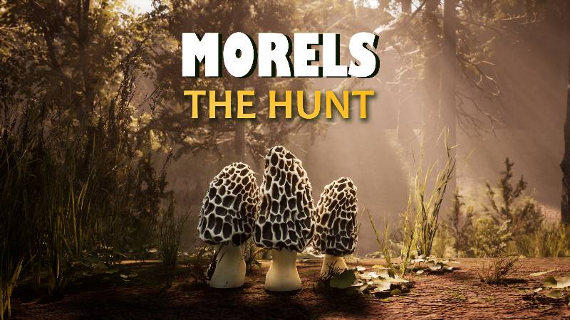 Morels: The Hunt.Часть-1