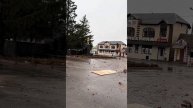 video_2025-02-19_11-07-02