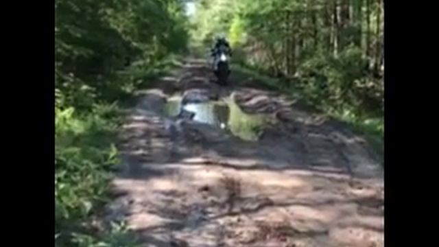 Mud Hole