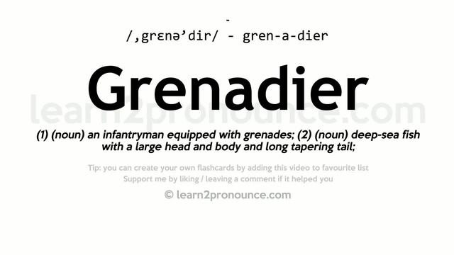 Pronunciation of Grenadier | Definition of Grenadier