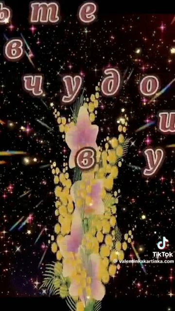 VID-20250219-WA0004