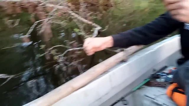 Поймал щуку на живца