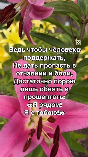 Мудрые мысли