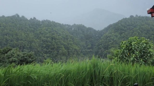 How we made 40kg dumbbell - Behind the scene | Anish Fitness