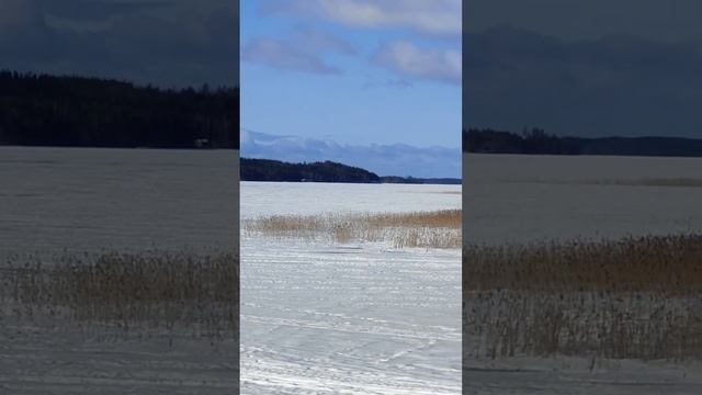 В Мире Животных и Людей , часть 1, образ ( или образец) N2