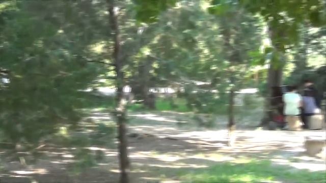 Песня Сергея Ларина «В единстве с природой»