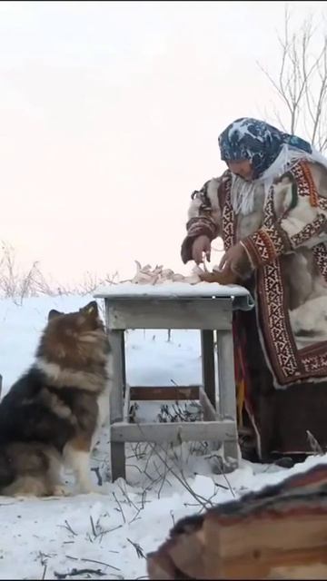 строганина. Это даже не блюдо, а целое