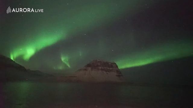 AURORA live - best shots Nov 2020 - Jan 2021