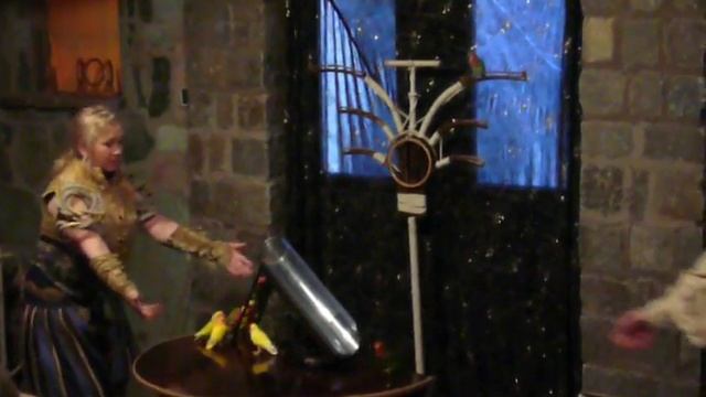 Неразлучники показывают трюки 2/3