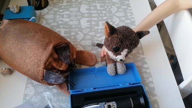 Сима Кот и распаковка тайной посылки часть 2 🐈
