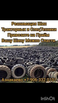 InShot_20250219_184314329