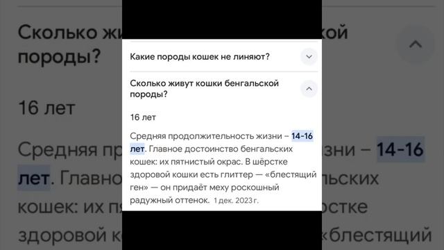 Бенгальские кошки окраса Меланистик и другие факты/27.03.24 13:50