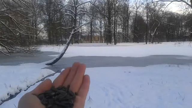 20171207 135810