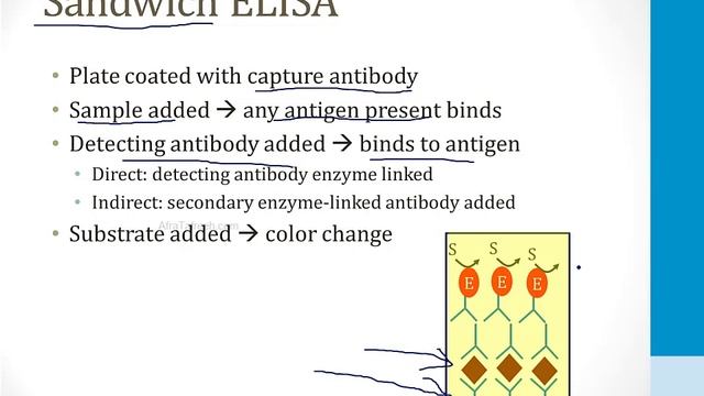 Cell Biology - 2. Laboratory Techniques - 4.ELISA atf