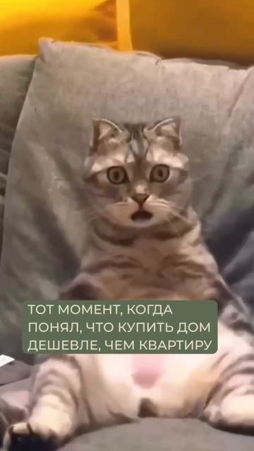 Единственный правильный выбор! #каркасныйдом #модульныйдом #строительстводомов