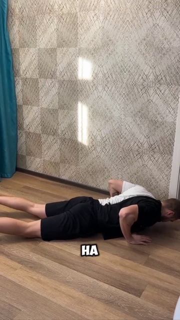 медведи