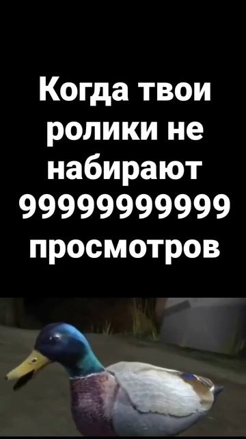 Жиза #shorts #жиза #shorts