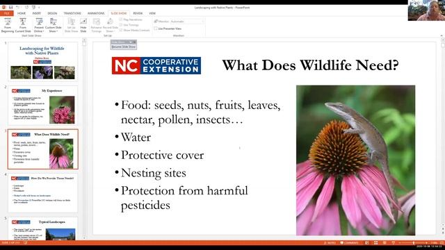 Wildlife Webinar #2: Working with Native and Invasive Plants