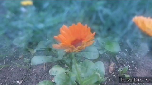 1000005582.mp4