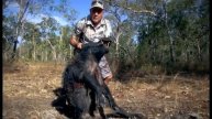 Wildlife Man Bow Hunting Boars