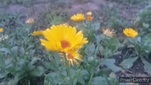 1000005586.mp4