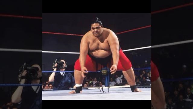 Anoai Family में पेहला WWE Champion कौन था ?#short#viral#shorts#youtubeshorts#wweshort#hangwrestlin