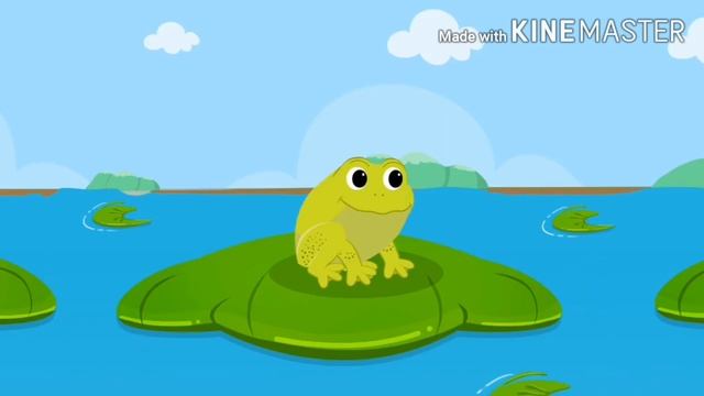 Belajar Mengenal Binatang Amfibi Katak Dan Salamander