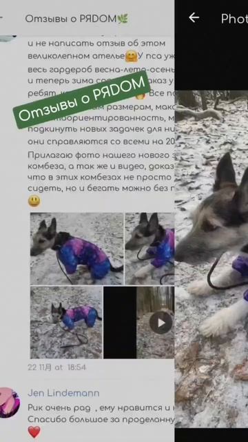 Так много отзывов! Смотрите сами! - Одежда для собак на заказ!
