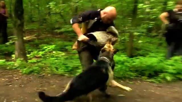MOV021.MOD Лайма