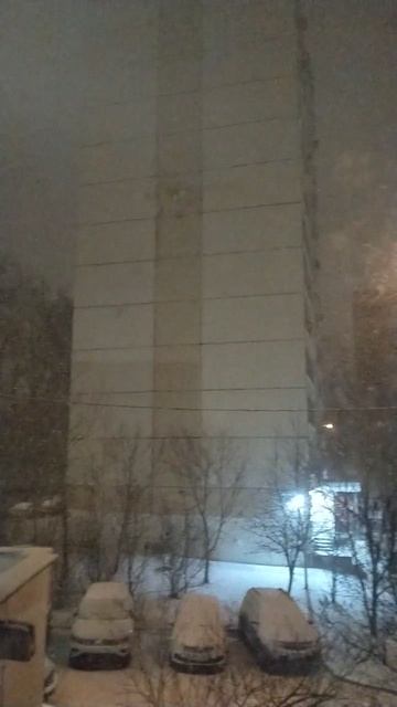 я вернулась!