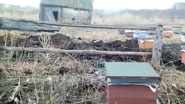 Первая обножка 2018 года
