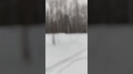 Люблю охоту