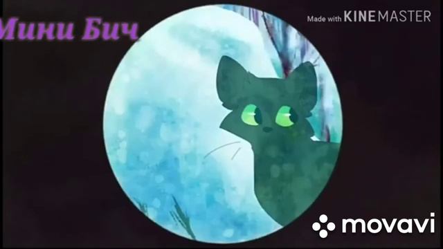 Коты воители песня :Серце едка 👄❤️