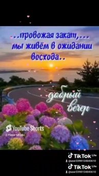 19-02-2025. Добрый вечер!🌜🌜🌜