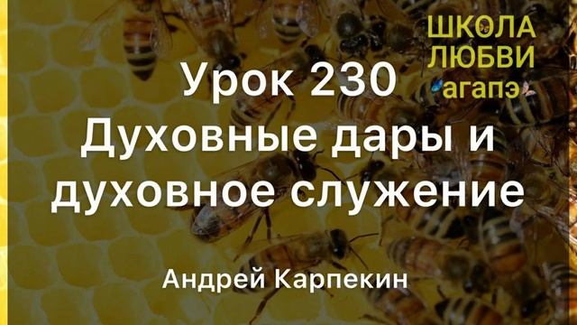 230. Духовные дары и духовное служение. Школа Любви Агапэ.