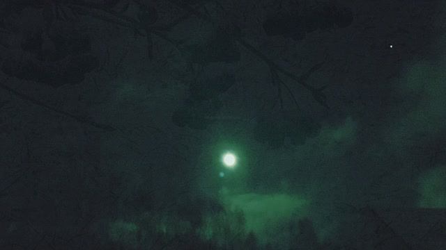 Зимняя ночь. Стихи и видеомонтаж мои. Музыка - Франсуа Девьен