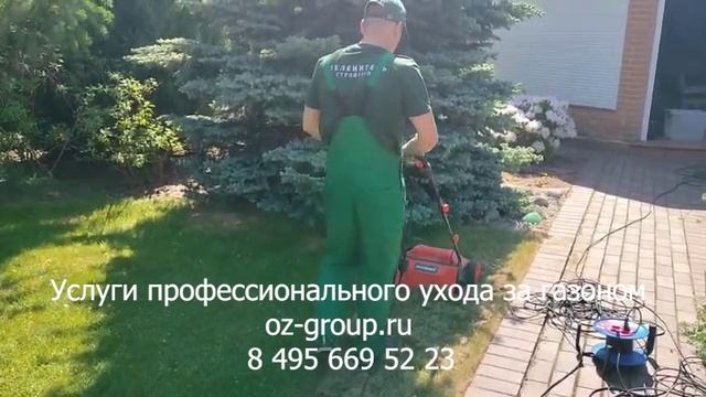 Услуги профессионального ухода за газоном на даче.