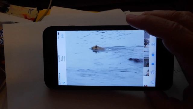 How to screen record a movie from iphone youtube to computer