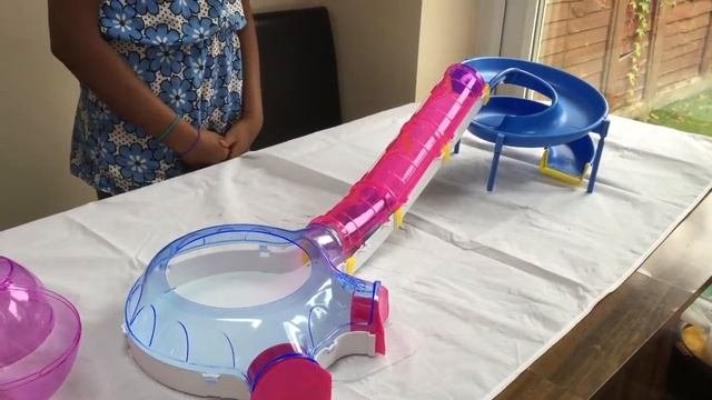 Zhu Zhu Pets Range -  Review