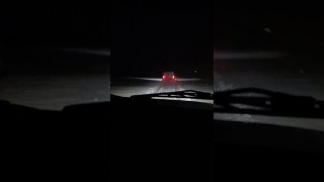 Покатушки две нивы 16.02.2025