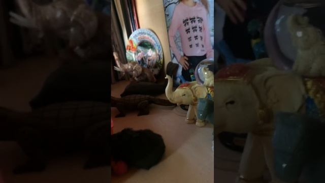 Джунгарский Хомяк Футболист
