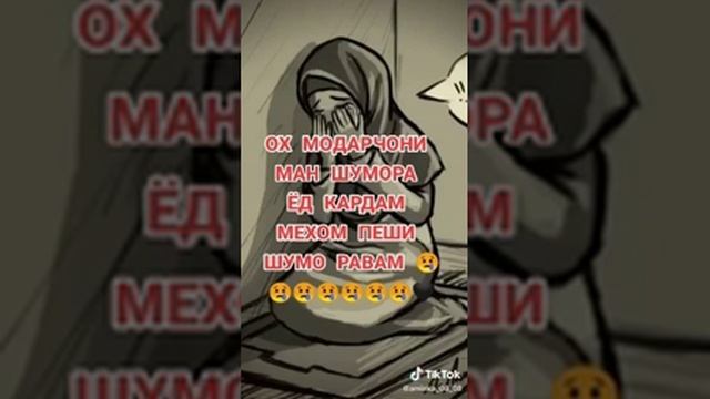Sherdil-Modar 2021                                   Шердил-Модар 2021