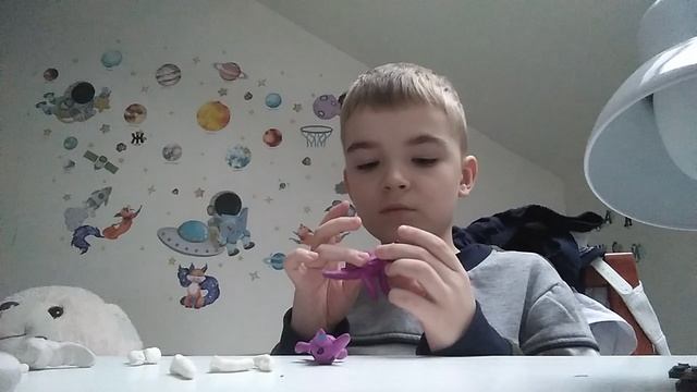 VID_20250202_153317.mp4