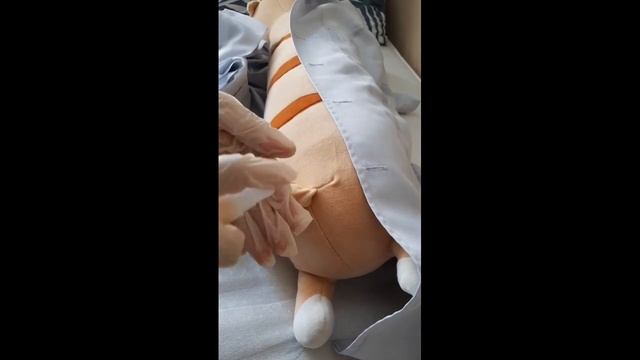 TOPIC 8: Inserting a rectal suppository