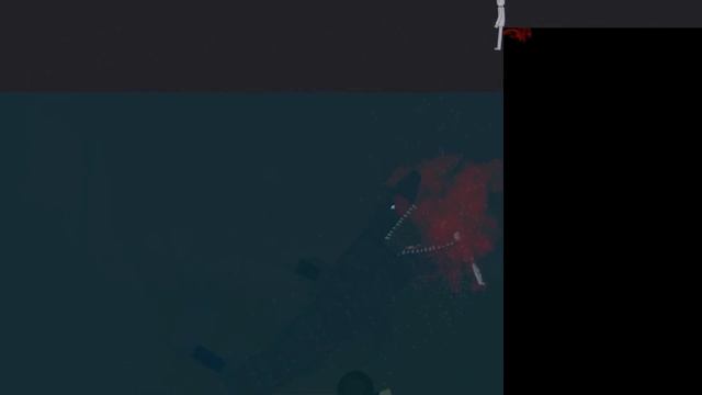 Dangerous Great White Shark In People Playground