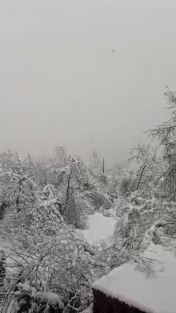 Красная Поляна 18.02.2025