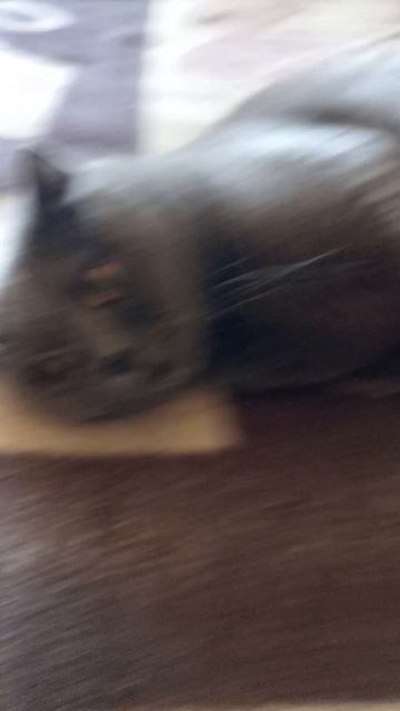 1000024458.mp4