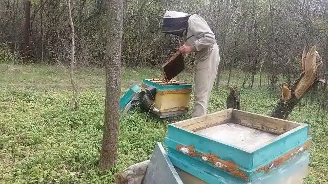 внезапный бонус маток