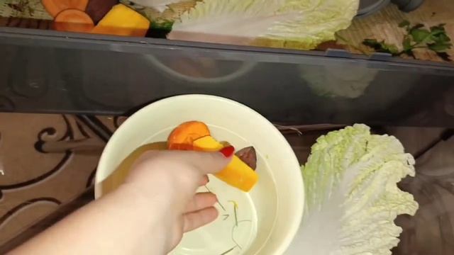 Морские свинки кушают петрушку и укроп первый раз